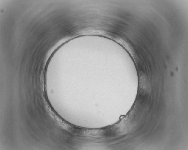 X0000062671150200601041003