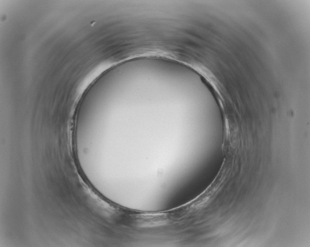 X0000062671151200601041003