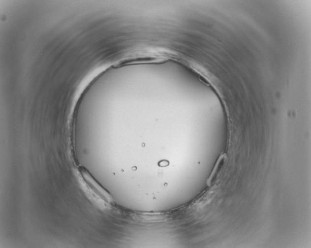 X0000062671152200601041003