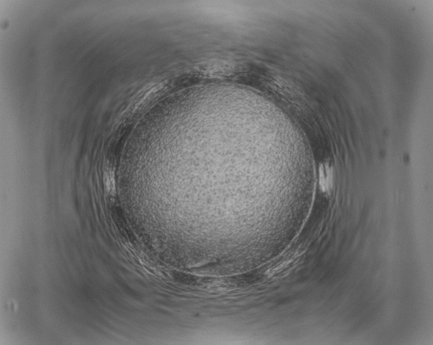 X0000062671155200601041002