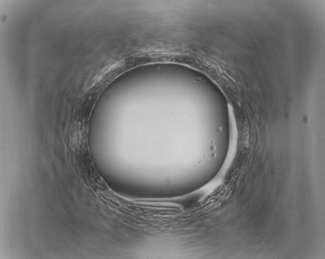 X0000062671157200601041002