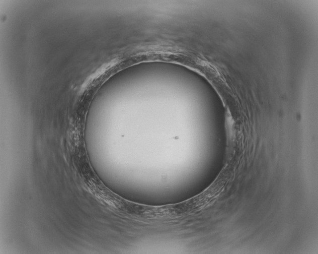 X0000062671159200601041002