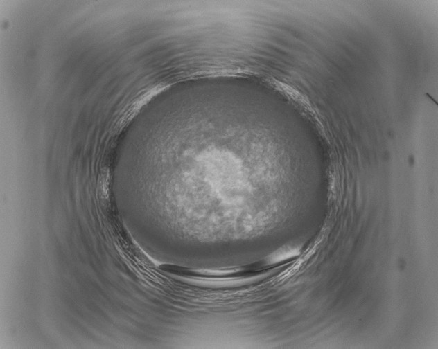 X0000062671161200601041002