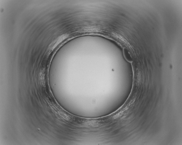 X0000062671162200601041002