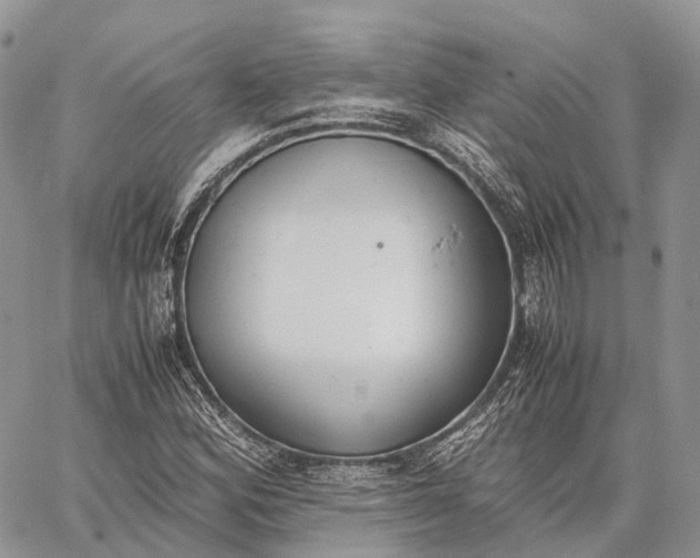 X0000062671164200601041002