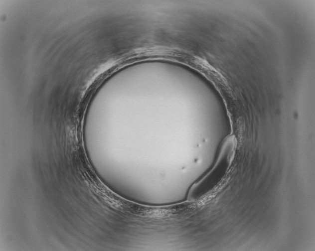 X0000062671166200601041002