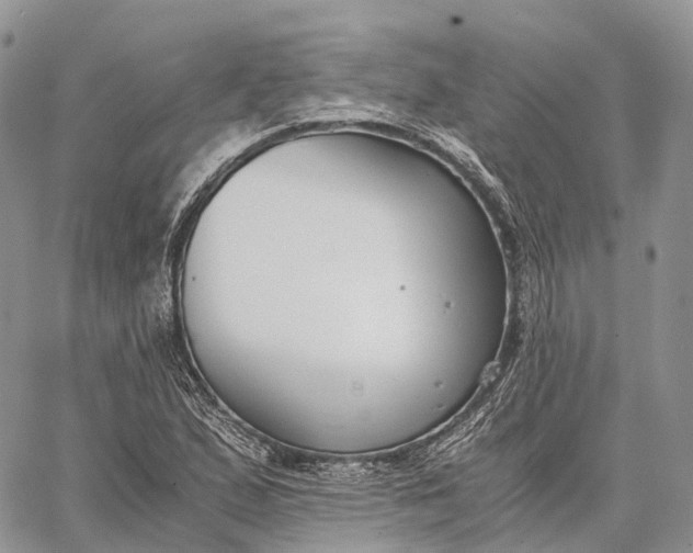 X0000062671167200601041002