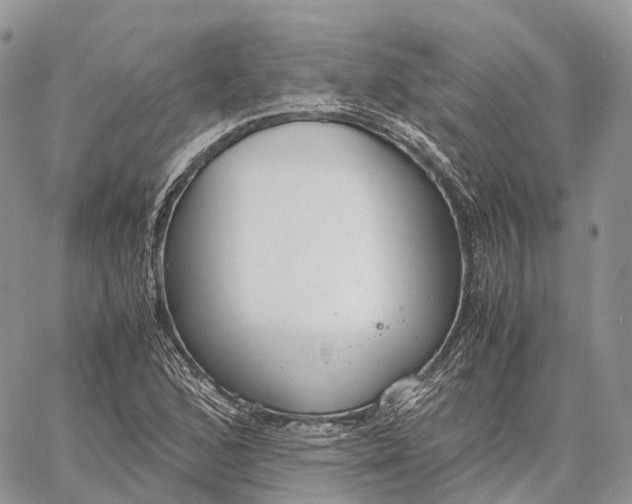 X0000062671168200601041002