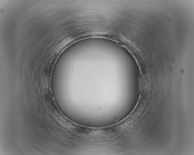 X0000062671169200601041002