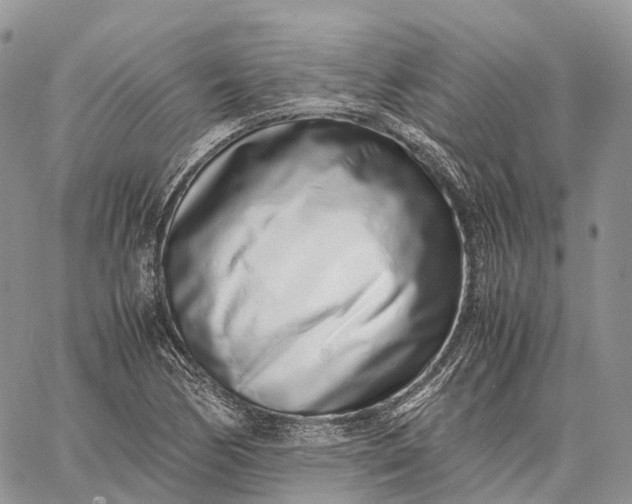 X0000062671170200601041002