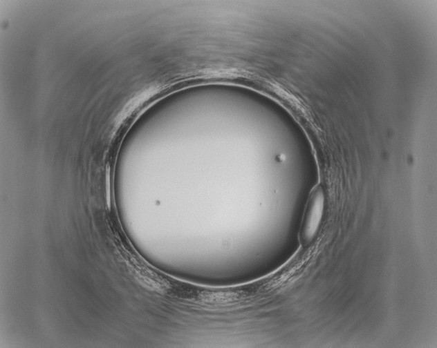 X0000062671171200601041002