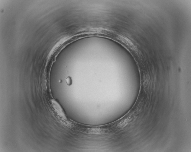 X0000062671172200601041002