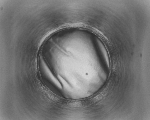 X0000062671174200601041002