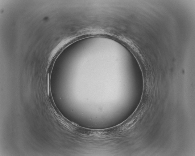 X0000062671175200601041002