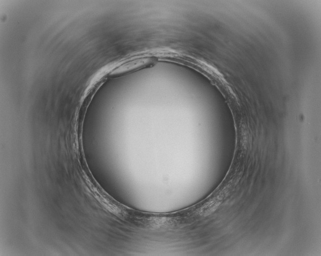 X0000062671176200601041002