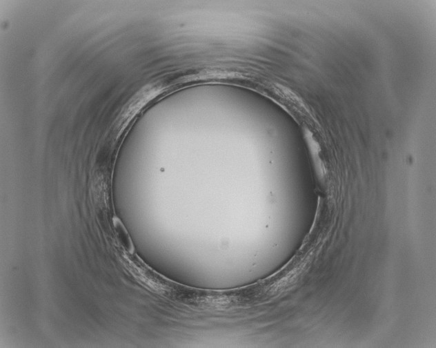 X0000062671177200601041002