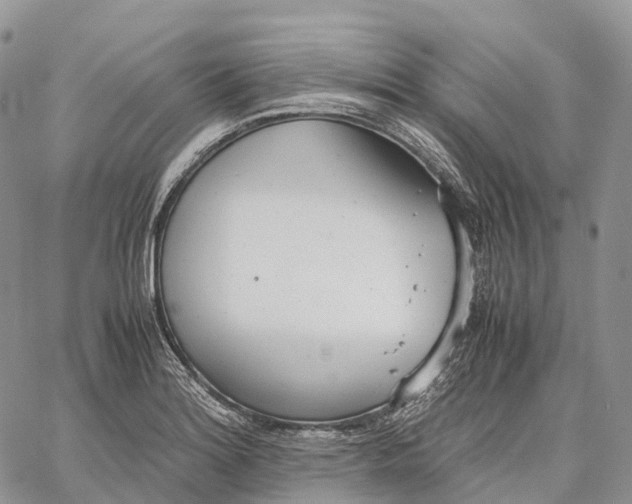 X0000062671180200601041002