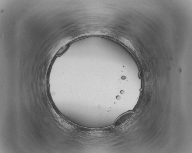 X0000062671181200601041002