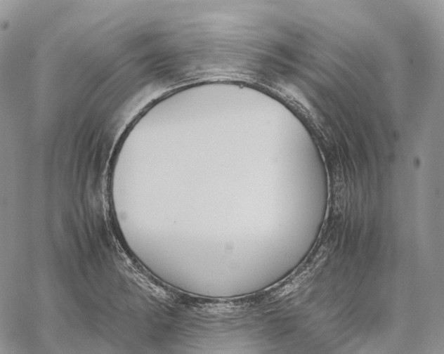 X0000062671182200601041002