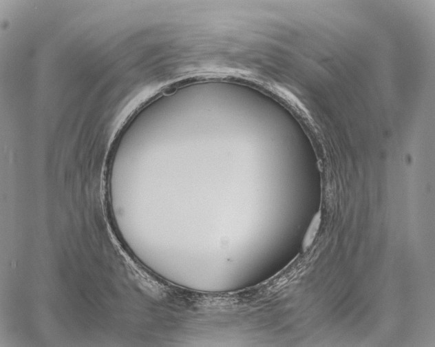 X0000062671183200601041002