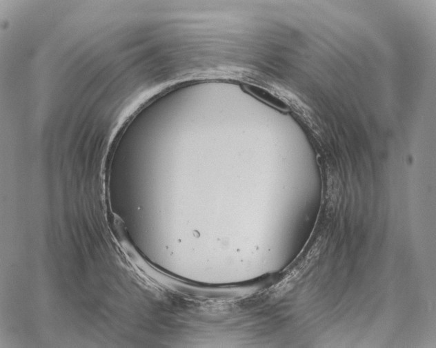 X0000062671184200601041002