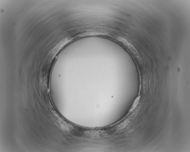 X0000062671185200601041002