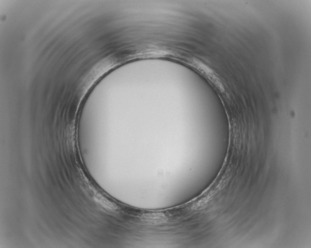 X0000062671186200601041002