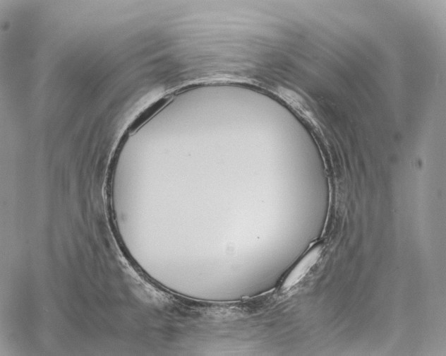 X0000062671189200601041001