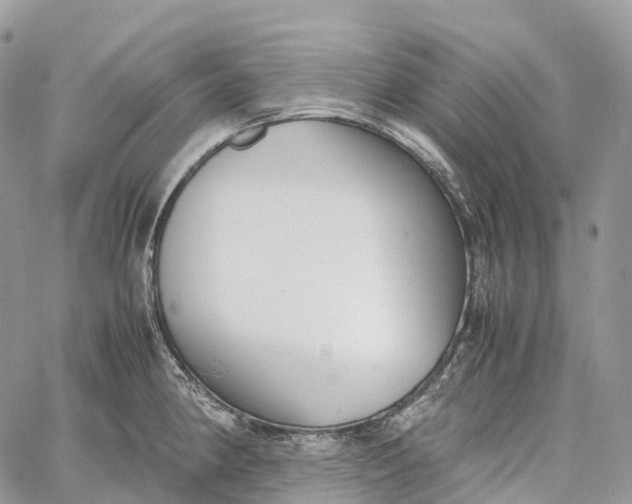 X0000062671190200601041001