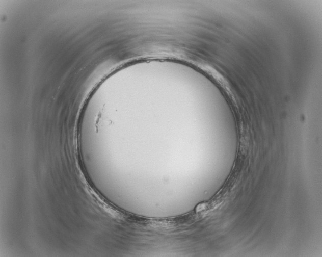 X0000062671191200601041001