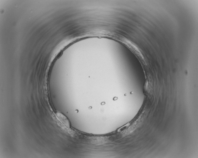 X0000062671192200601041001