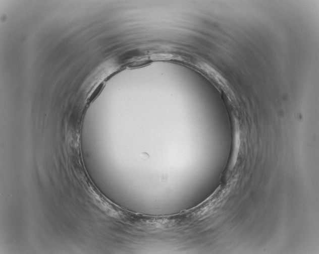 X0000062671193200601041001