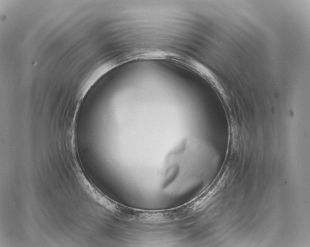 X0000062671194200601041001