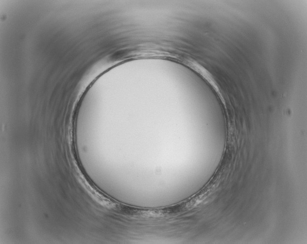 X0000062671195200601041001