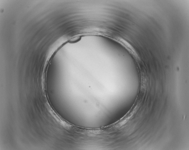 X0000062671196200601041001