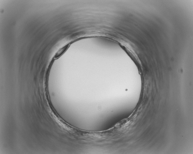 X0000062671197200601041001