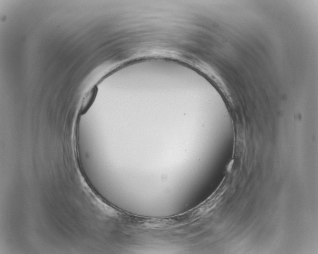 X0000062671199200601041001