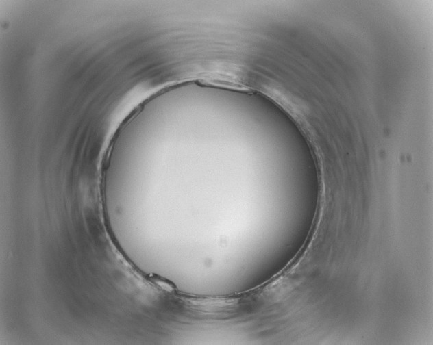 X0000062671200200601041001