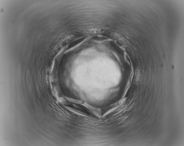 X0000062671202200601041001