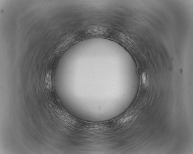 X0000062671203200601041001