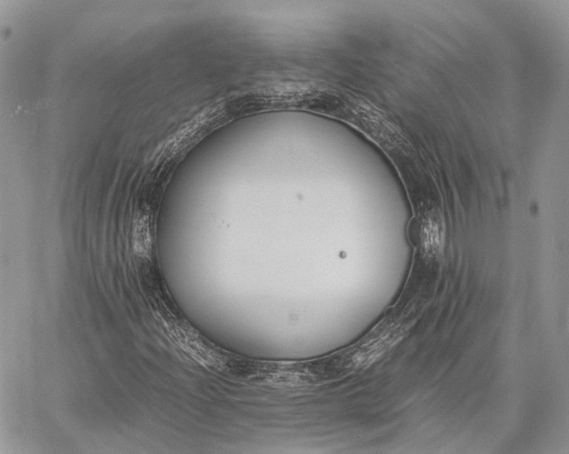 X0000062671204200601041001