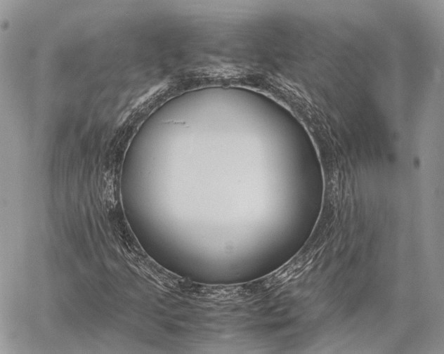 X0000062671205200601041001