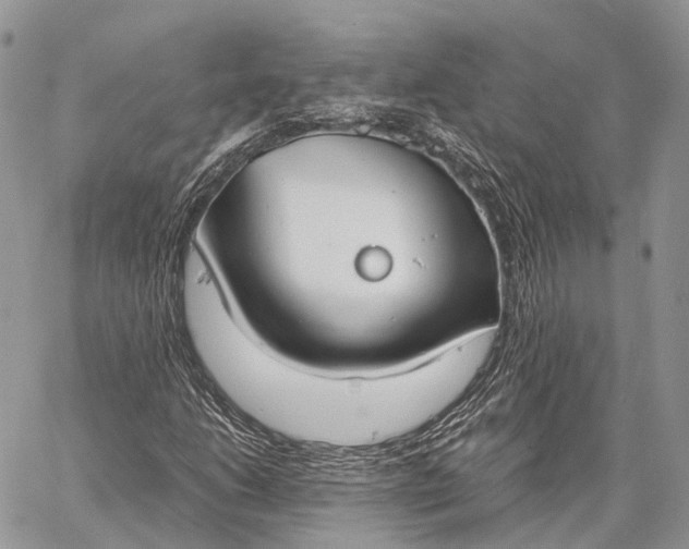 X0000062671206200601041001