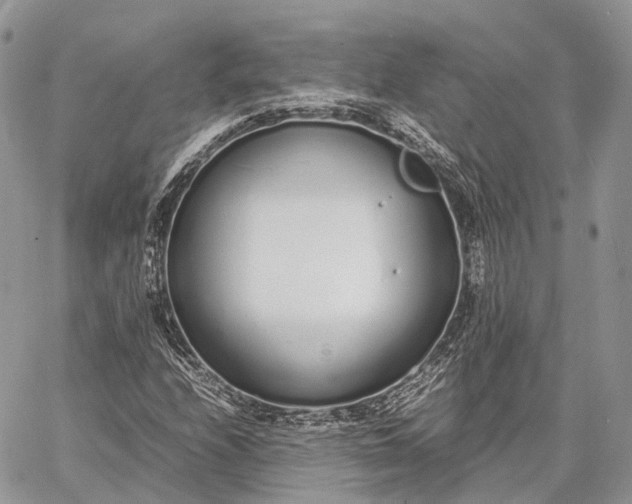 X0000062671208200601041001