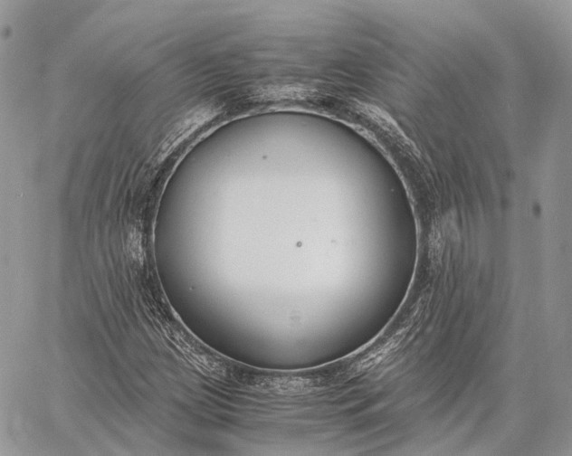 X0000062671209200601041001