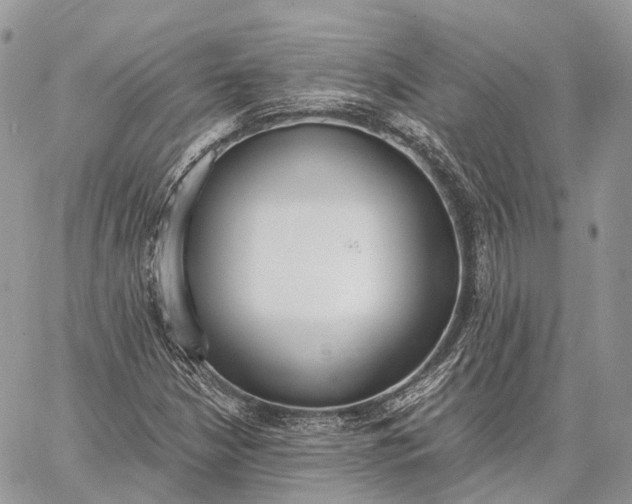 X0000062671210200601041001