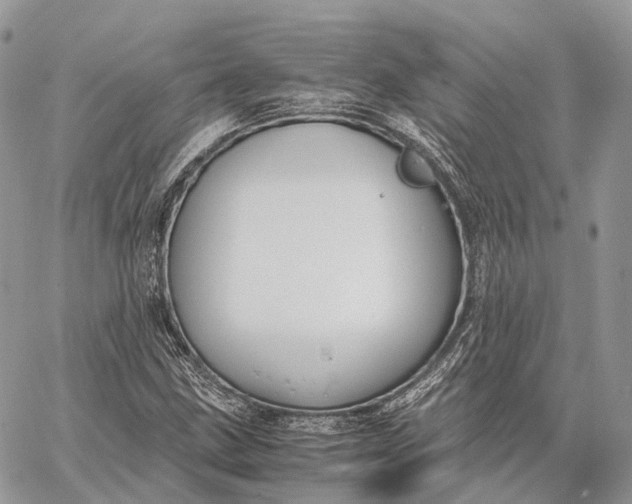 X0000062671211200601041001