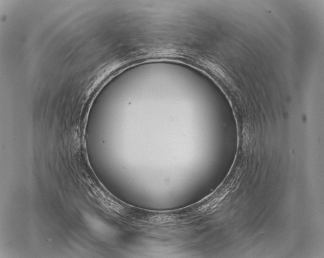 X0000062671212200601041001