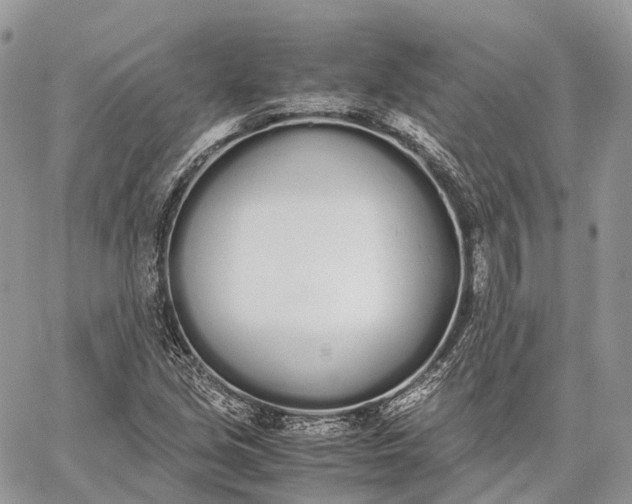 X0000062671213200601041001