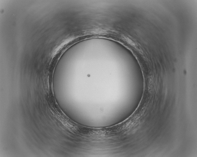 X0000062671214200601041001